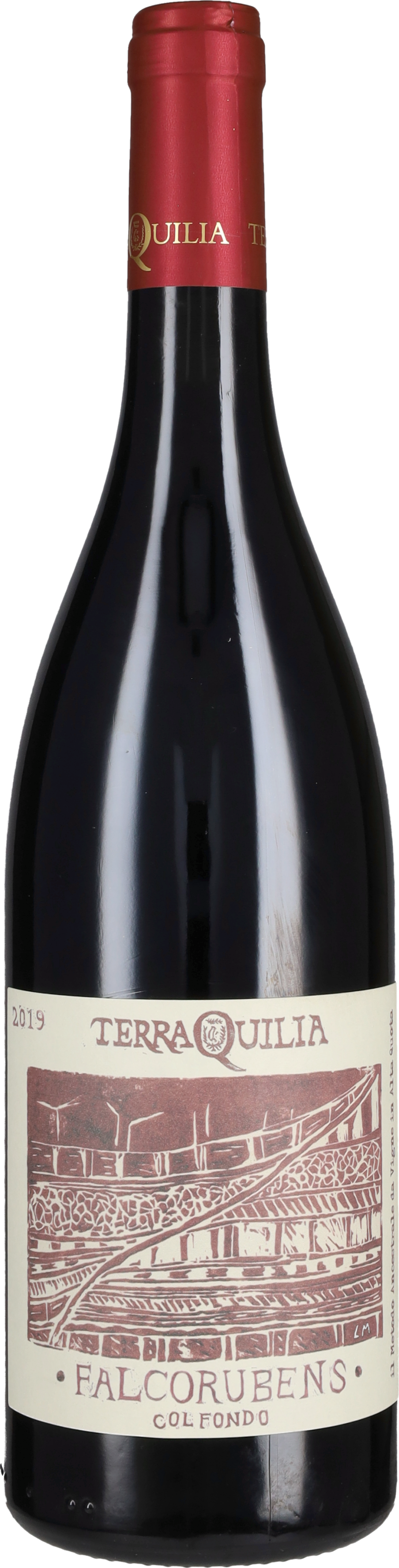 Lambrusco 'Falcorubens col fondo' Terraquilia 2019