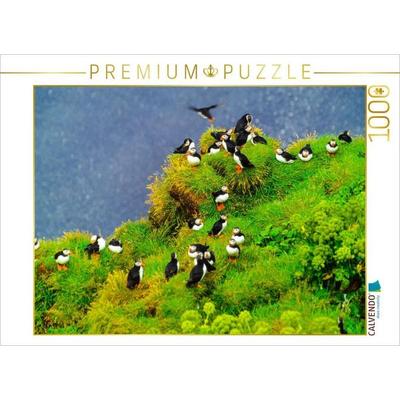 CALVENDO Puzzle Papageitaucher 1000 Teile Lege-Größe 640 x 480 cm Foto-Puzzle Bild von Carola Vahldiek