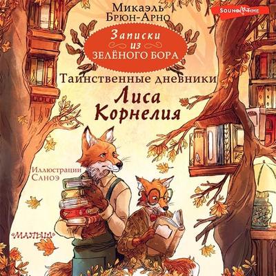 Zapiski iz Zelyonogo Bora. Tainstvennye dnevniki Lisa Korneliya - Mikael Brun-Arnaud, Audio, 9785171438357