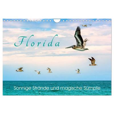 Florida - Sonnige Strände und magische Sümpfe (Wandkalender 2026 DIN A4 quer), CALVENDO Monatskalender