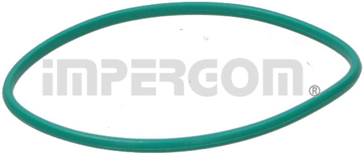Impergom Guarnizione, pompa carburante 25200