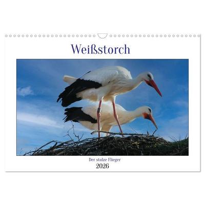 Weißstorch, der stolze Flieger (Wandkalender 2026 DIN A3 quer), CALVENDO Monatskalender