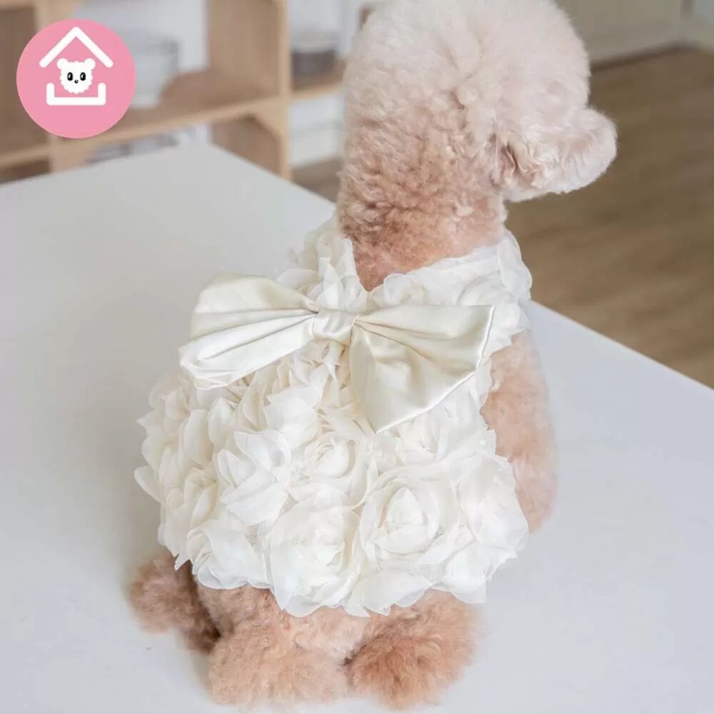 INF Elegantes Color-Block-Hundegeschirr-Kleid – Japanische & Koreanische Mode für Katzen & Hunde XL Champagne