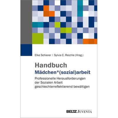 Handbuch Mädchen*(sozial)arbeit, Gebundene Ausgabe von Birgit Groner, Juventa Verlag ein Imprint der Beltz Verlagsgruppe GmbH & Co. KG,