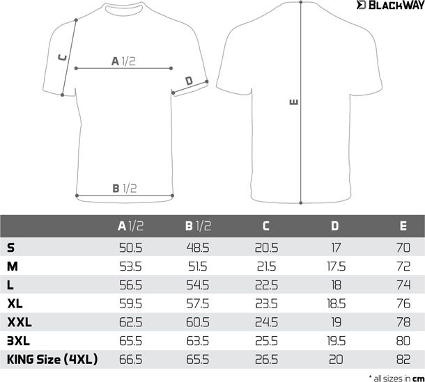 Tee shirt Delphin BlackWAY S Gray, Silver S