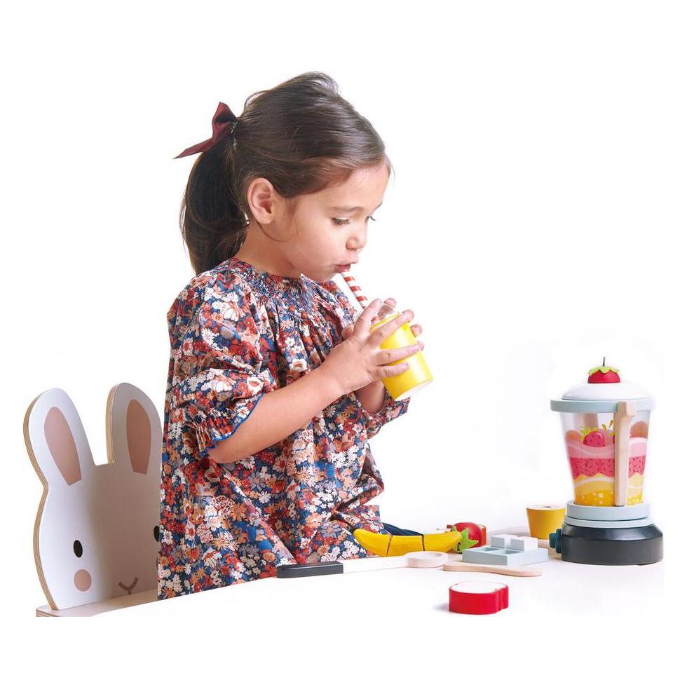 Tender Leaf Toys Smoothie-Mixer (7508229)