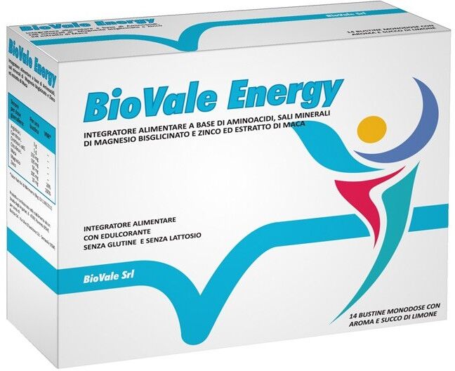 BIOVALE Srl BIOVALE ENERGY 14BUSTINE