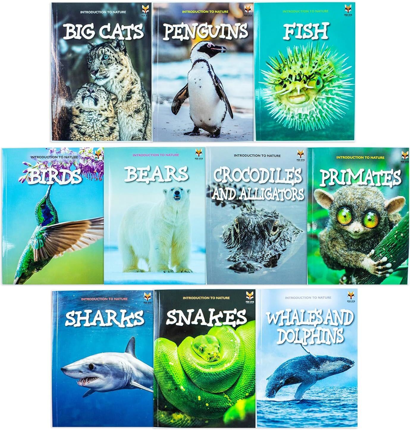 Fox Eye Publishing Introduction to Nature for Beginners 10 Books Collection Set – Bears, Sharks & Educational Nature Collection