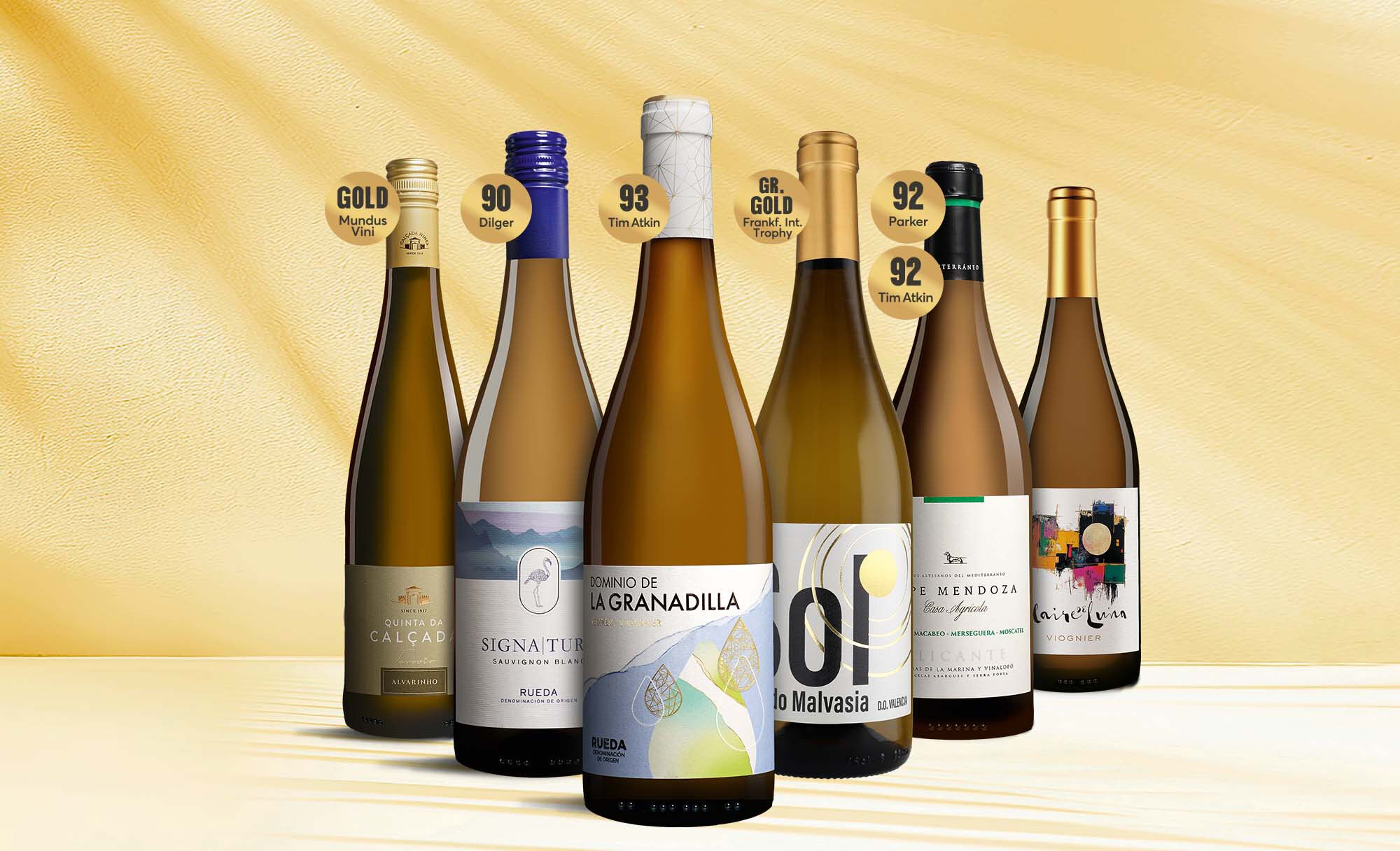 Weißwein Premium-Paket Weinpaket  aus Spanien