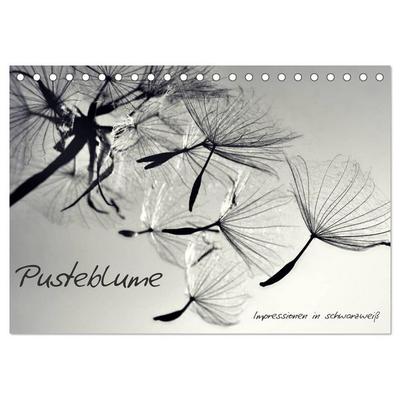 Pusteblume - Impressionen in schwarzweiß (Tischkalender 2026 DIN A5 quer), CALVENDO Monatskalender
