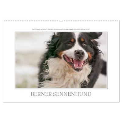 Emotionale Momente: Berner Sennenhund. (Wandkalender 2027 DIN A2 quer), CALVENDO Monatskalender