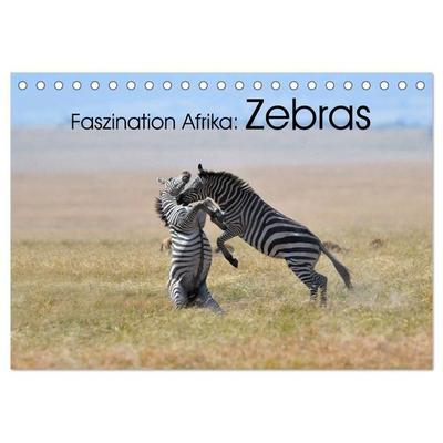 Faszination Afrika: Zebras (Tischkalender 2027 DIN A5 quer), CALVENDO Monatskalender