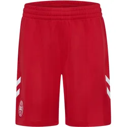 hummel, Jungen, Sporthose, Kurze Domicile Kind Dänemark Coupe du Monde 2026, Rot