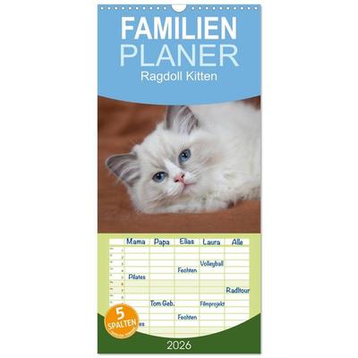 Familienplaner 2026 - Ragdoll Kitten mit 5 Spalten (Wandkalender, 21 x 45 cm) CALVENDO