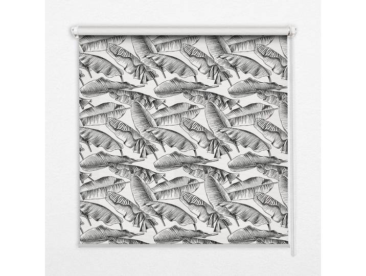 INNENROLLO - Fensterrollo - Rollo - 60x40 cm - Farnblätter