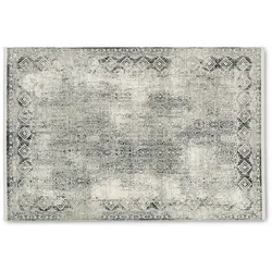 Astra Teppich Julia D.203 C.004 grau/creme Bordüre 80x150cm