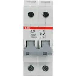 ABB E202/25G Trennschalter 2P, 25 A, Schaltgriff grau, Änderung Ursprung + Gebrauchskategorie 2CDE282001R1025