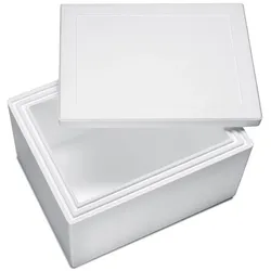 VEPATIM 4x Isolierboxen mit Deckel aus Styropor EPS 570 x 445 x 350 mm 40,5 Liter