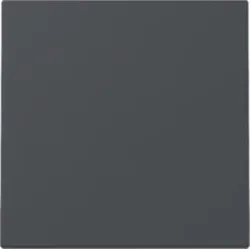 Gira 329628 Wippe System 55 Anthrazit