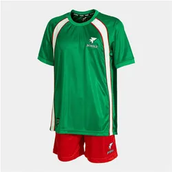 Joma, Unisex, Sportshirt, Rétro Coupe Du Monde 2026 (128, 134), Rot, Grün
