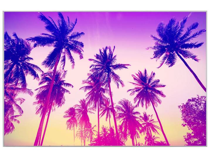 Bild mit Rahmen Palmen image LAND