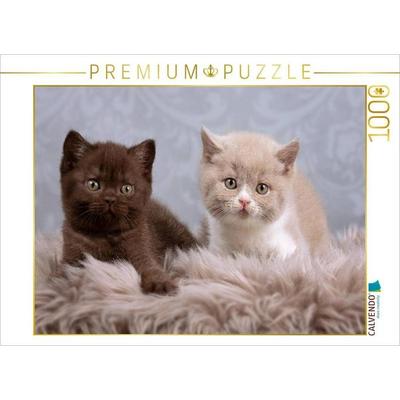 CALVENDO Puzzle Sind wir nicht süß? | 1000 Teile Lege-Größe 64x48cm Foto-Puzzle für glückliche Stunden, Sonstige von , Calvendo Puzzle