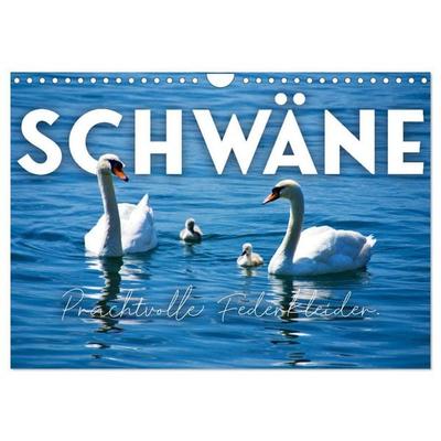 Schwäne - Prachtvolle Federkleider. (Wandkalender 2026 DIN A4 quer), CALVENDO Monatskalender