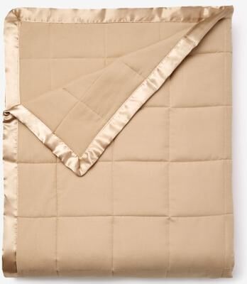 Down-Alternative Blanket by BrylaneHome in Tan (Size KING)