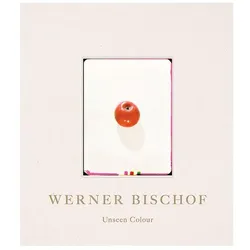 Werner Bischof, Fachbücher von Tobia Bezzola, Beate Susanne Hanen, Claudia Kotte, Francesca Bernasconi, Ludovica Introini