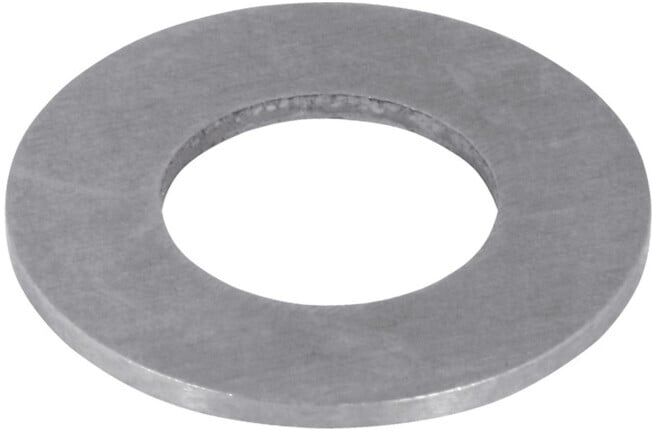 HOFFMANN Disque de rechange pour porte-lame, pour Ø lame d1 : 100 mm ; Industrial Quality Supplies (345561 100)