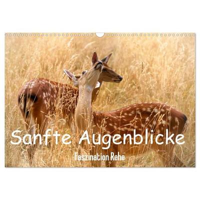 Sanfte Augenblicke, Faszination Rehe (Wandkalender 2027 DIN A3 quer), CALVENDO Monatskalender