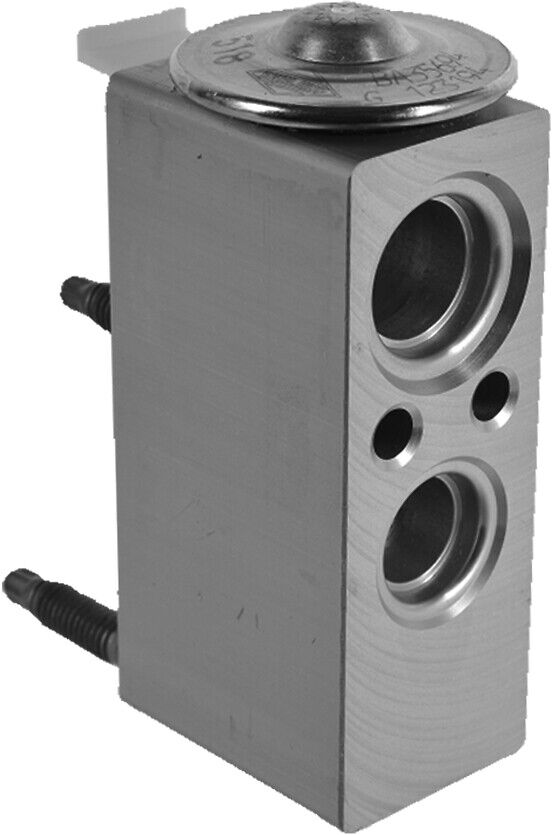 Valeo Expansionsventil, Klimaanlage 515055 Für Ds