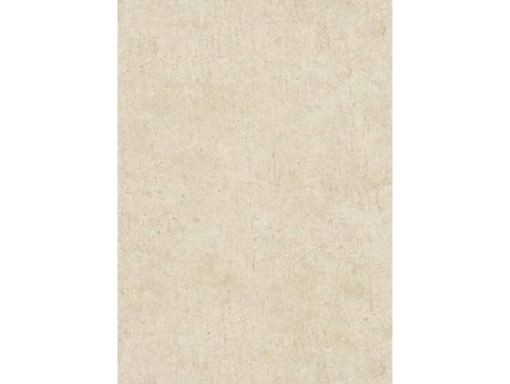 Vliestapete Einfarbig Betonoptik Industrial Shabby Beige 10418-02