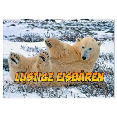 Lustige Eisbären (Wandkalender 2027 DIN A4 quer), CALVENDO Monatskalender
