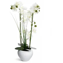 WDMT Luxus-Kunstorchidee (Phalaenopsis) in weißer Keramikvase – 53 cm