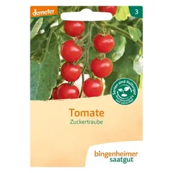 Bingenheimer Saatgut Cocktailtomate Zuckertraube demeter