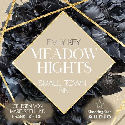 Meadow Hights: Small Town Sin - Emily Key, Audio, 4066004843094