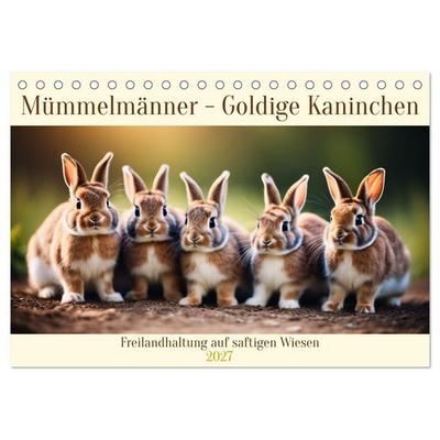 Mümmelmänner - Goldige Kaninchen (Tischkalender 2027 DIN A5 quer), CALVENDO Monatskalender