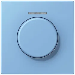 Jung Abdeckung mit Lichtleiter LC 1940 KO5 256