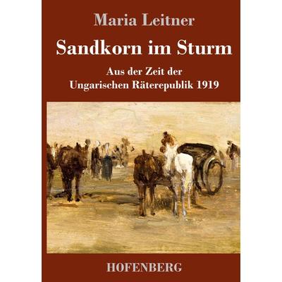 Sandkorn im Sturm, Gebundene Ausgabe von Maria Leitner, BoD - Books on Demand, 978-3-7437-4097-6