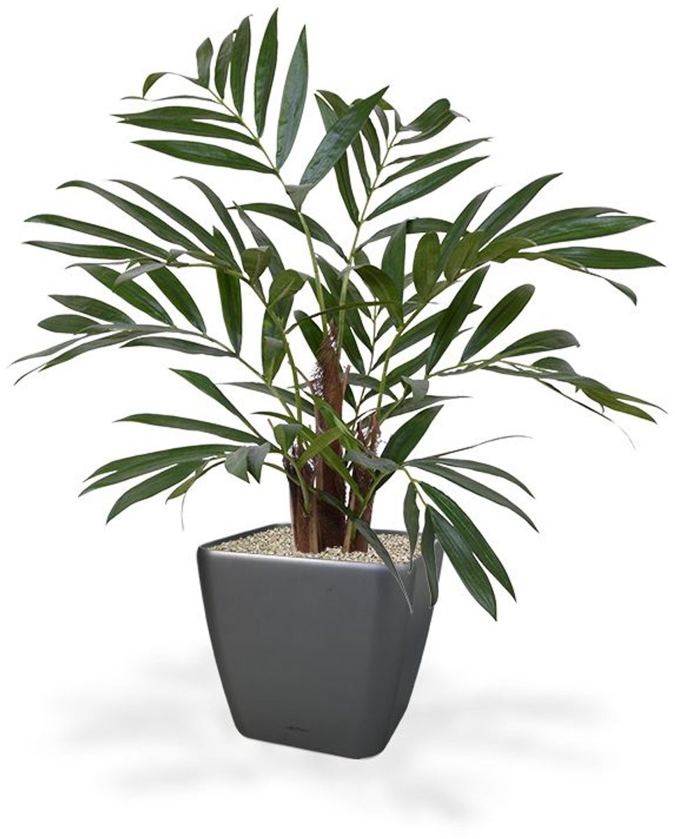 Maxifleur Chamaedorea kunstpalm, 65 cm