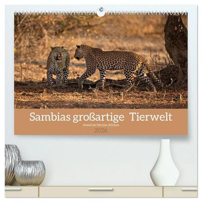 Sambias großartige Tierwelt (hochwertiger Premium Wandkalender 2026 DIN A2 quer), Kunstdruck in Hochglanz