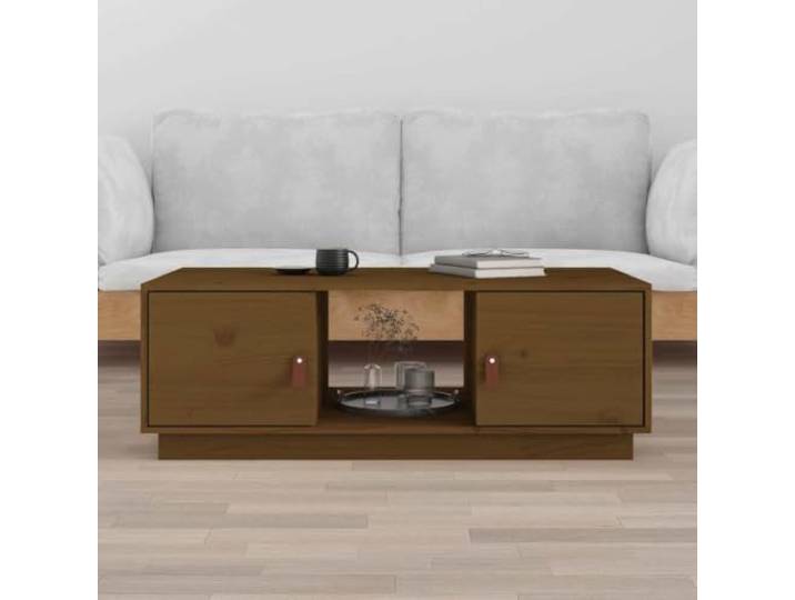 HEFZGDB Couchtisch Honigbraun 100x50x35 cm Massivholz Kiefer mit Stauraum Fächern für Bücher und Zeitschriften als Beistelltisch oder Sofatisch