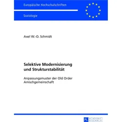 Selektive Modernisierung und Strukturstabilität, Fachbücher von Axel Schmidt