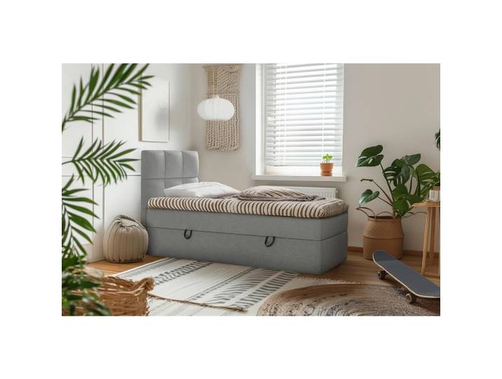 BOXBETT POLLY