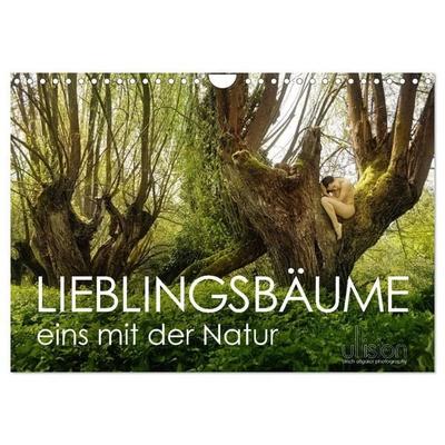 Lieblingsbäume - eins mit der Natur (Wandkalender 2027 DIN A4 quer), CALVENDO Monatskalender