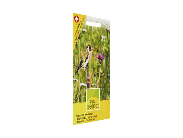 Select Wildblumen Vogelnahrung