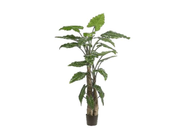 Lebensechte Kunstpflanze „Alocasia Giant Tree“, Ø 120 x 180 cm Grün Baq Design