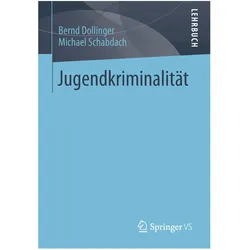 Jugendkriminalität, Fachbücher von Michael Schabdach, Bernd Dollinger