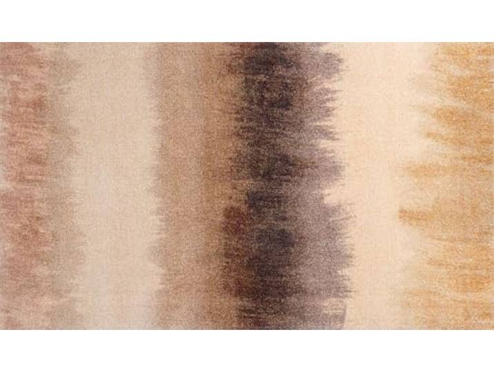 Wash+Dry Fußmatte, Bronze Bands 70x120cm, bunt